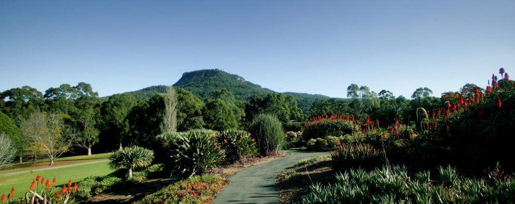Wollongong Botanic Garden view to Mt Keira