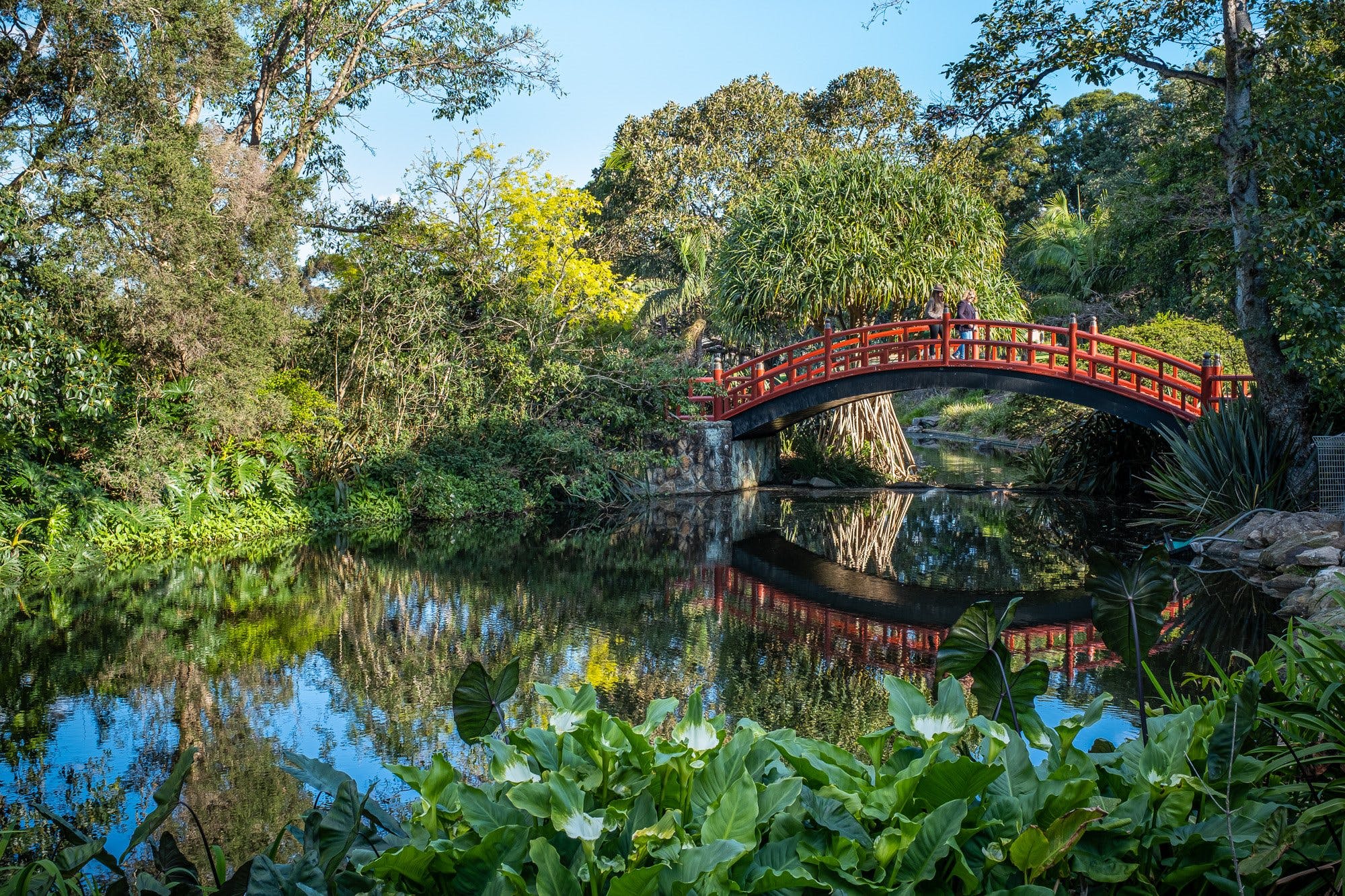 Wollongong Botanic Garden
