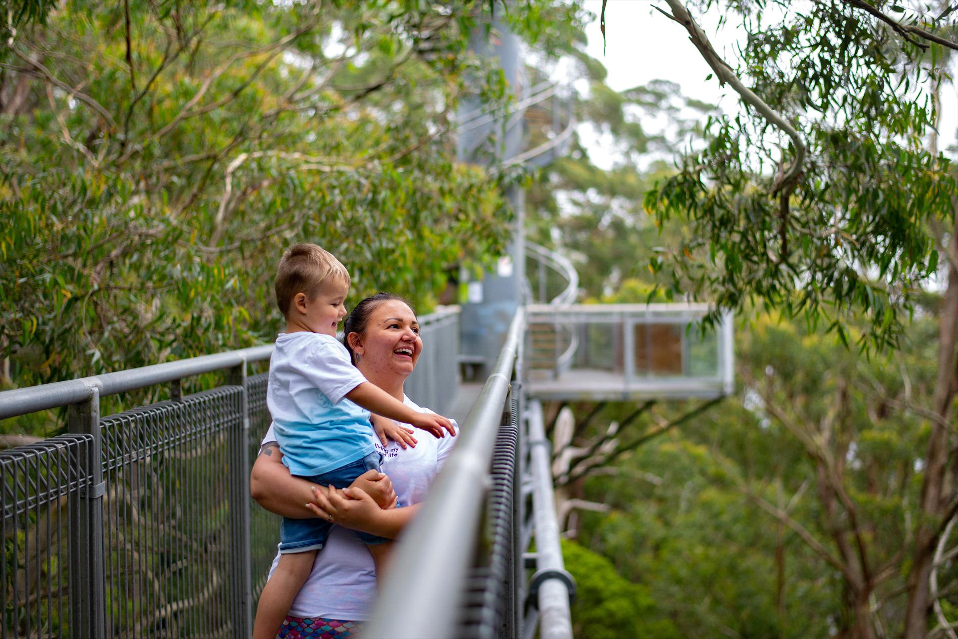 illawarra-primary-9737647d-b0b7-449f-922b-22fd97dd3ef5