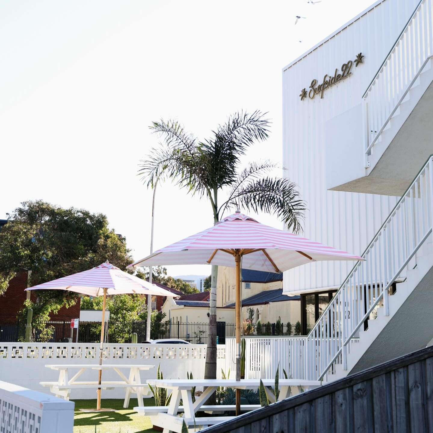 544531007_17947407096012632_6921883488560654064_n (1) (1)