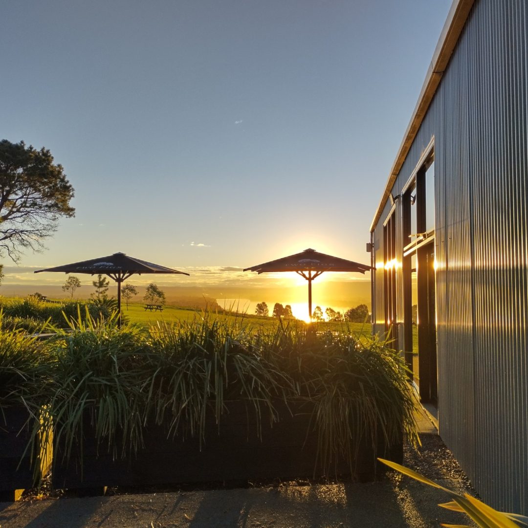 434969585_1026714902254645_6450092184705072385_n