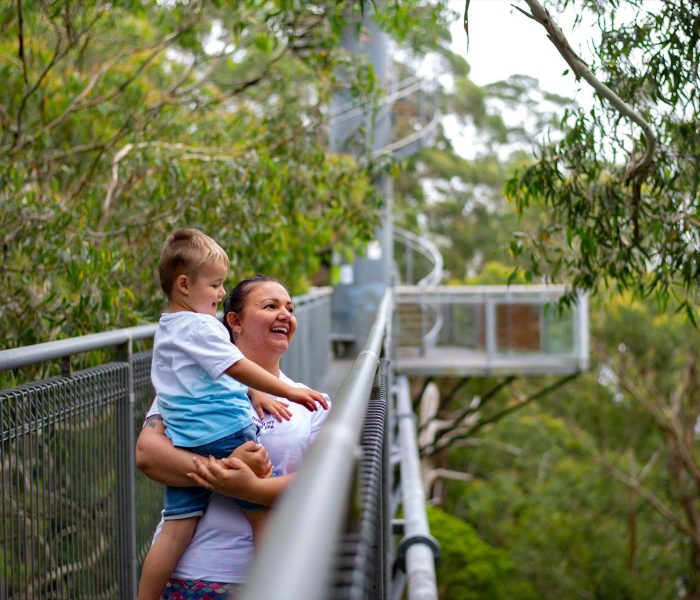 illawarra-primary-9737647d-b0b7-449f-922b-22fd97dd3ef5