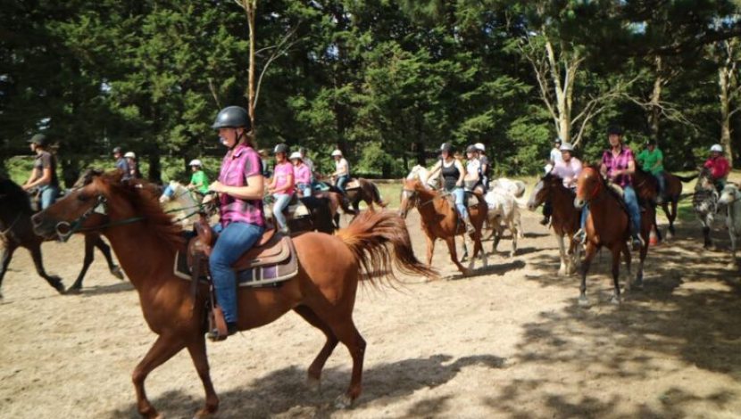 the-fold-illawarra-darkes-forest-riding-ranch-trail-ride-768x512